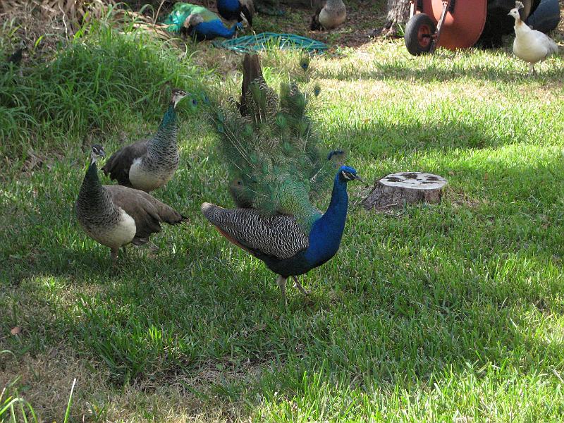 Picture 027